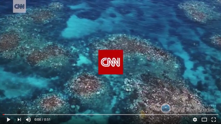 Before Our Eyes: The Great Barrier Reef – Rescue That Frog!